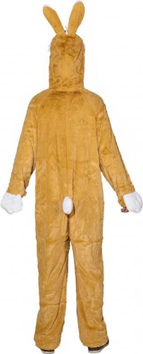 Hase bunny hasen - hasen, häschen