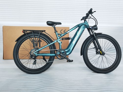 1000w elektrofahrrad - 1000w,