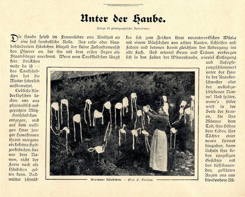 Dockhorn europäische - t.dockhorn,