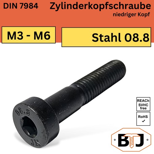Din 7984 zylinderschraube - din,