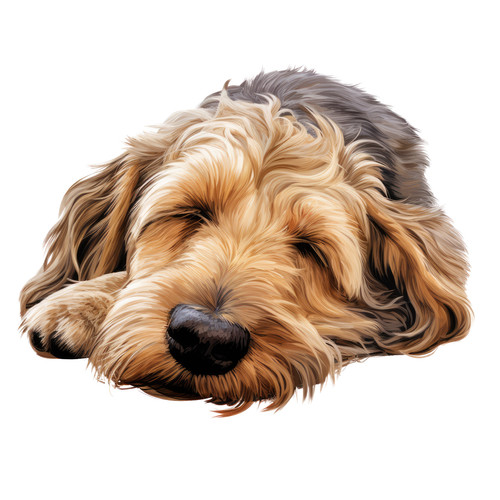 Xxl schlafender hund otterhund - hund,