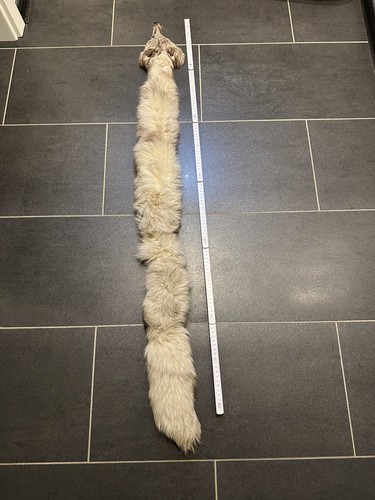 Pelz pelzkragen tierfell echt - pelzkragen,