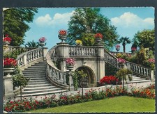 AK 25297 -51#     Treppe zum Rosengarten - Insel Mainau im Bodensee 78465