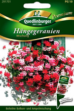 Hängegeranien Mischung - bunte Balkon- und Ampelmischung - Geranien Blumen Samen