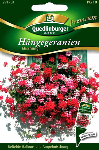 Hängegeranien mischung - hängegeranien,