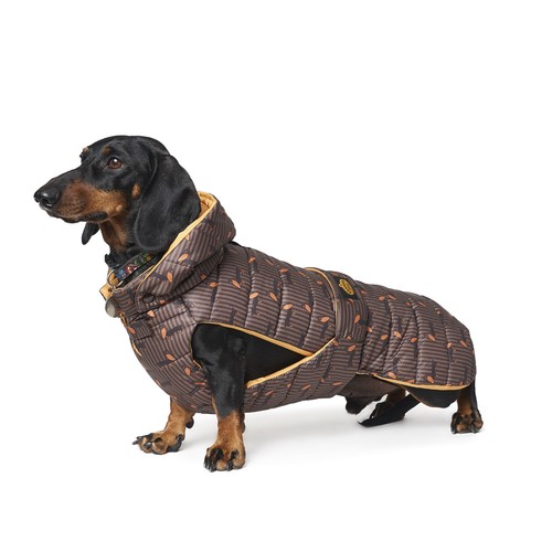 Fashion dog wasserfester - fashion,
