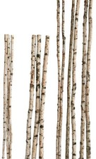 Birkenstamm 180 cm - ø 4-6 cm