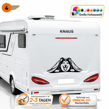 Long Hair Collie Under Blanket