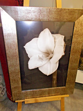 2 x Glas-Bild Edelorchideen Druck, Glas 68,5 x88,5 cm, gerahmt