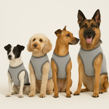 HUNTER Hunde-Kühlweste 2in1 inkl. Geschirr leichtes Mesh-Design atmungsaktiv