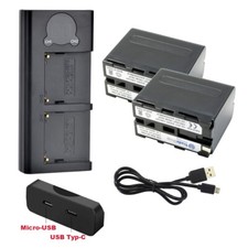 2x Akku + Dual LCD Ladegerät