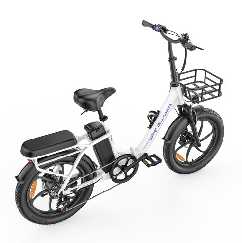 Zoll elektrofahrrad 48v - 20,