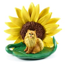 Pomeranian Sonnenblume Figur Rot