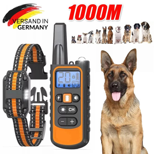1000m hund ausbildung - 1000m,