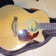 Resonanzgitarre mit Tonabnehmer inklusive Tragetasche