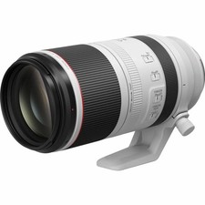 Canon RF 100-500mm F4.5-7.1L