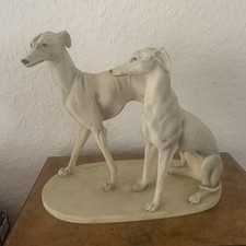Windhund Greyhound Whippet