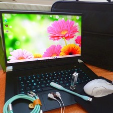 Alienware m17 17zoll - m17,