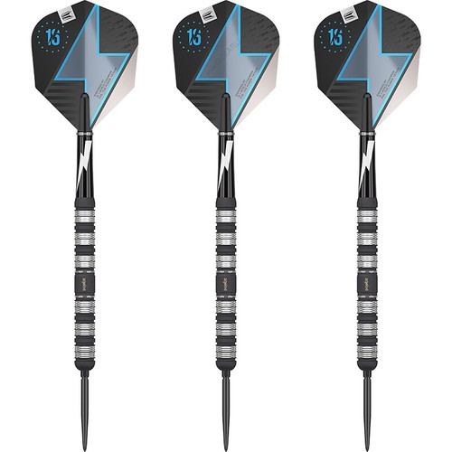 Target steeldarts swiss point - steeldarts,