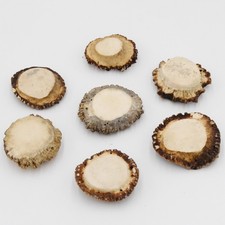 Rosen 7 Stück Rose Hirsch Rothirsch Geweih basteln schnitzen Schmuck 71.5.3.13