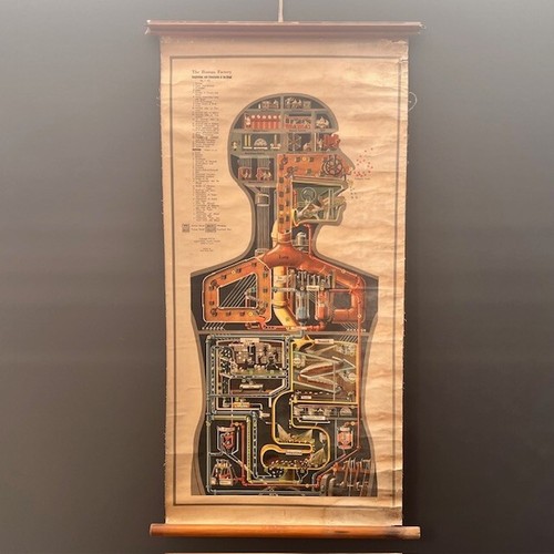 Fritz kahn the - fritz, factory"