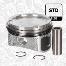 PM005700 Kolben SKODA Fabia VW