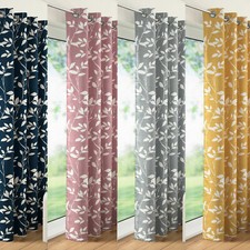 Lorbeer Blumen Blatt Voile