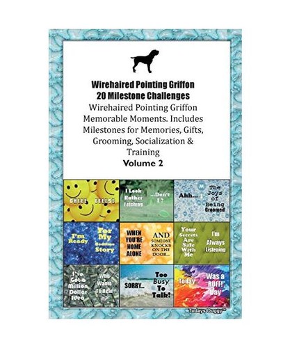 Wirehaired pointing griffon - wirehaired,