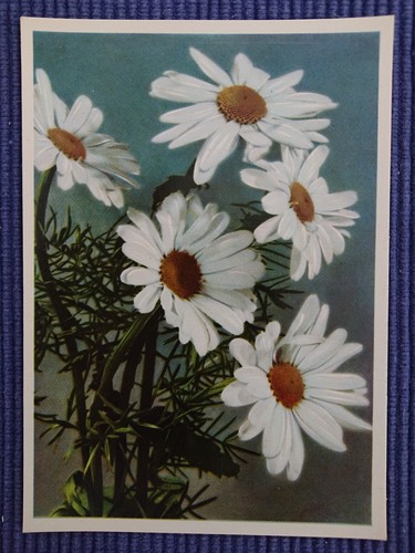 Alte ansichtskarte postkarte - ansichtskarte,