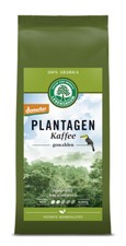 Lebensbaum Plantagen Kaffee