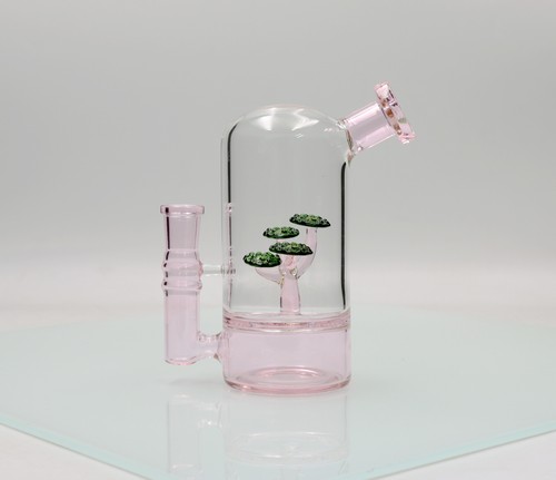 Cm rosa bonsai baum - /,