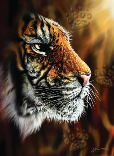 Puzzle wilder tiger - puzzle, (1000
