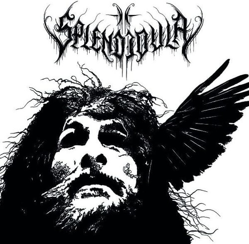 Splendidula somnus - splendidula, (2025)