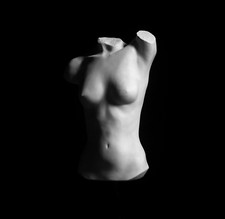 Weiblicher torso original - torso,