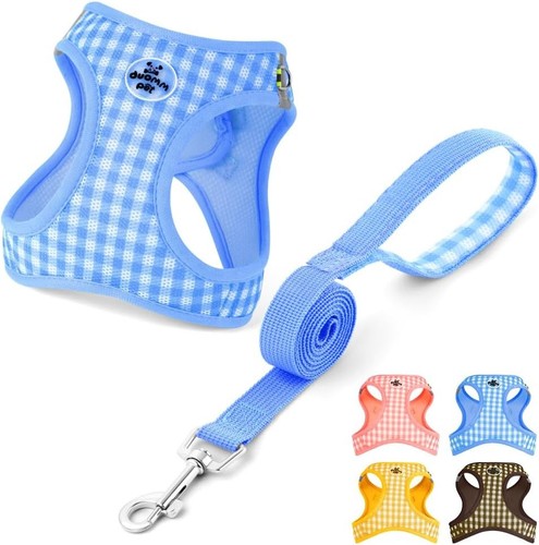 Hundegeschirr mit leine set - hundegeschirr,