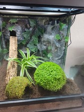 Wasserfall-Groß für