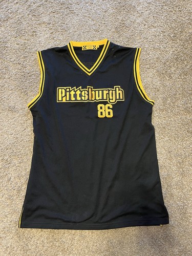 Pittsburgh steelers nfl - pittsburgh,