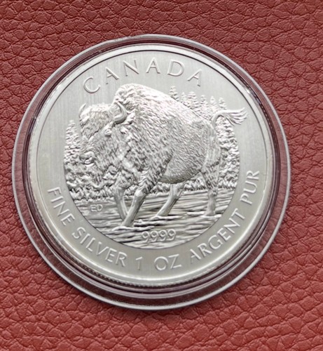 Silbermünze canada dollar - silbermünze, canada,
