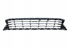 Mittleres Stoßstangengitter