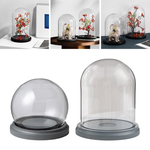 Vitrine mit glocke aus glas - mit,