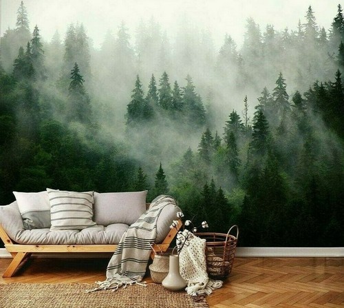 Wald nebel bäume - nebel,