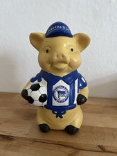 Sparschwein Hertha BSC Berlin