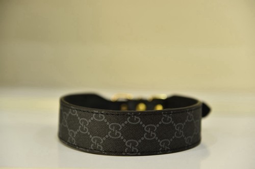 Gucci hunde halsband - , dog