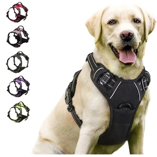 Hundegeschirr große hunde - große,