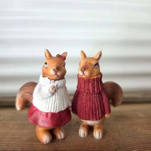 Freche eichhörnchen - freche,