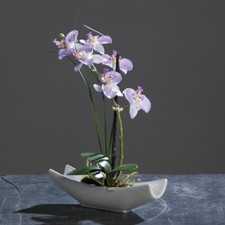 Künstliche Orchidee lavendel 27cm in Keramikschale Kunstblumen künstliche Blumen