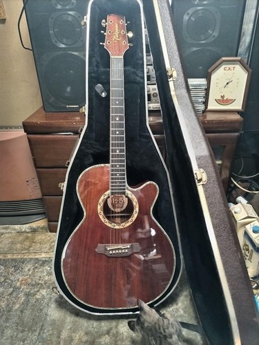 Takamine acoustic electric - takamine, l-5