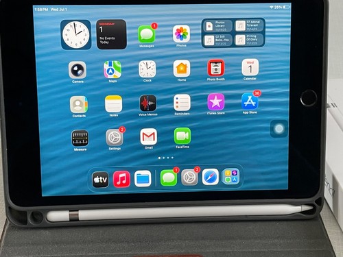 Apple ipad mini - , a2124