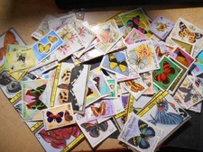 Schmetterlings Sammlung /