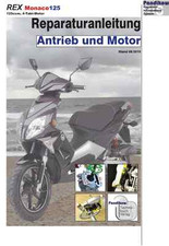 Reparaturanleitung RIS für